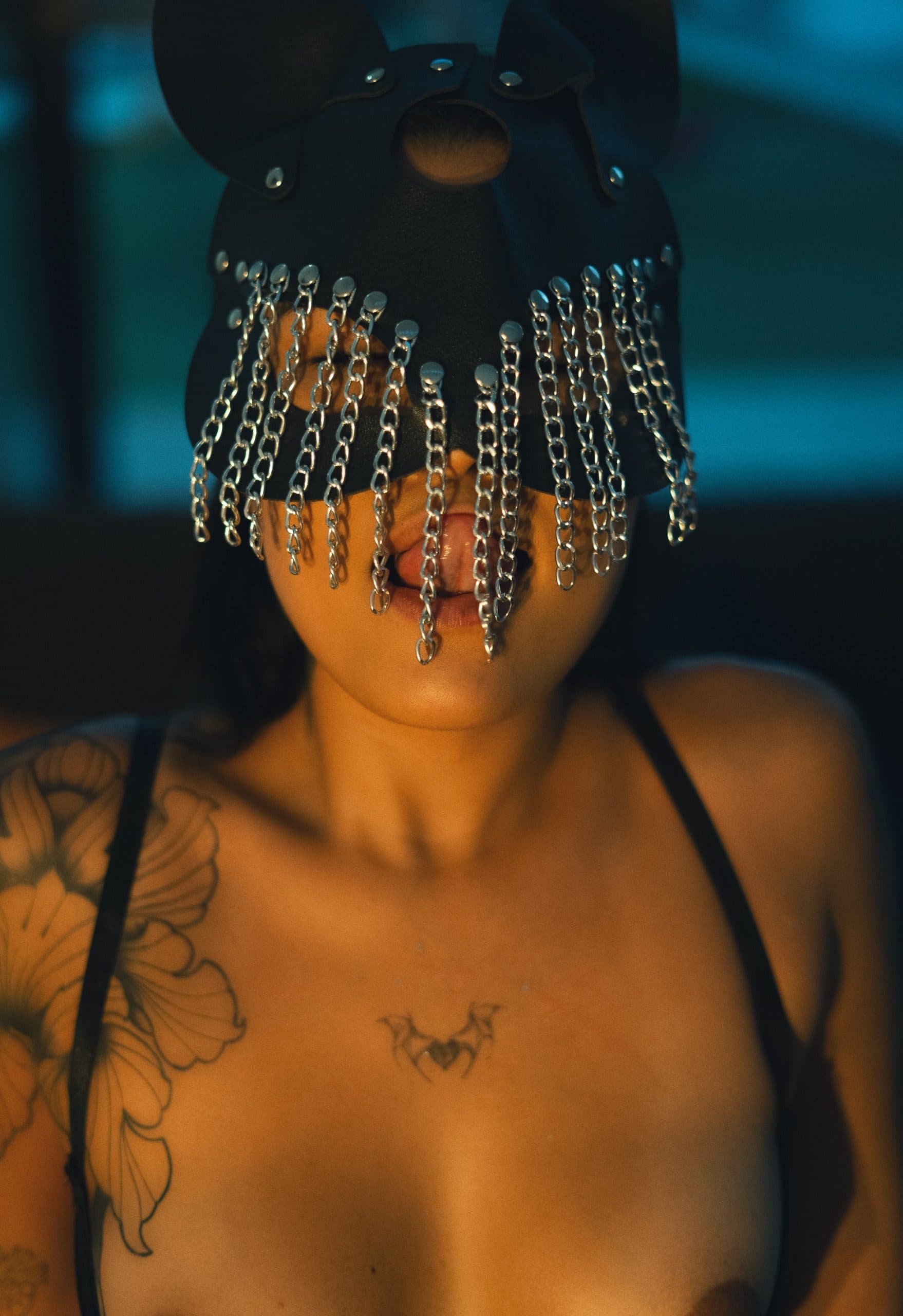 Paola Debo Galería Nightshade Kitty